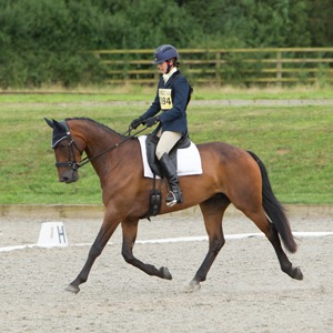 Dressage Photography